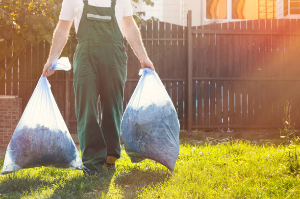 Best Shed Removal  in Delavan, IL